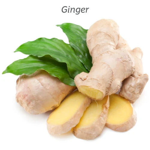 Kiwiherb: Ginkgo Alert