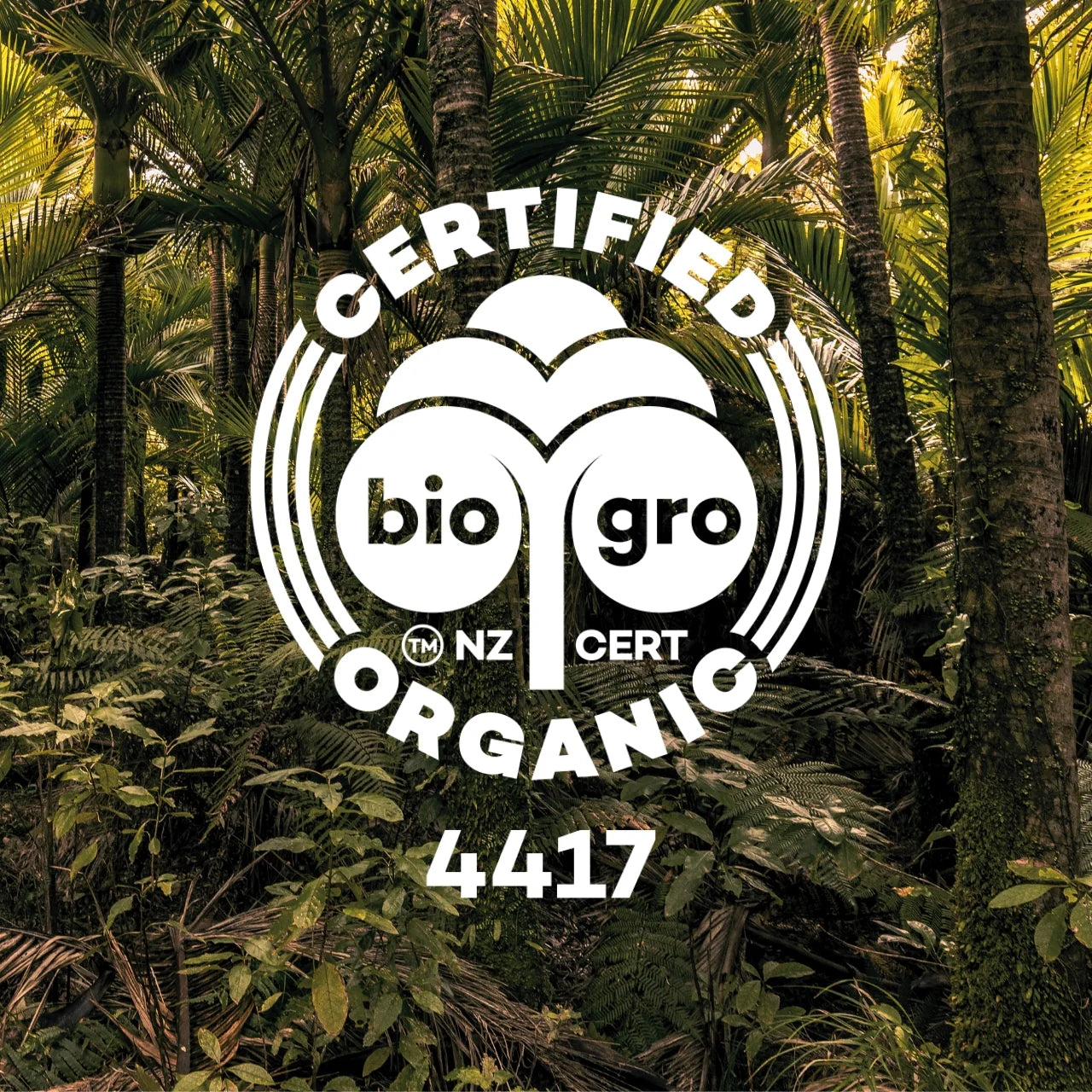 Kiwiherb: Organic De-Stuff