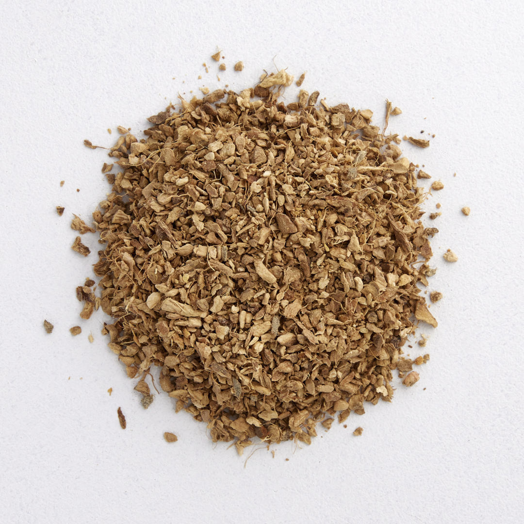 GINGER : Zingiber officinale
