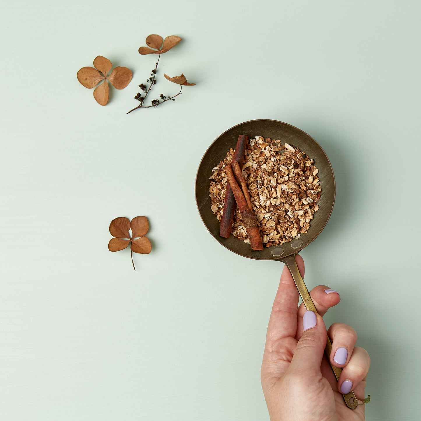 ROASTED : earthy, nutty + bittersweet - dandelion root tea