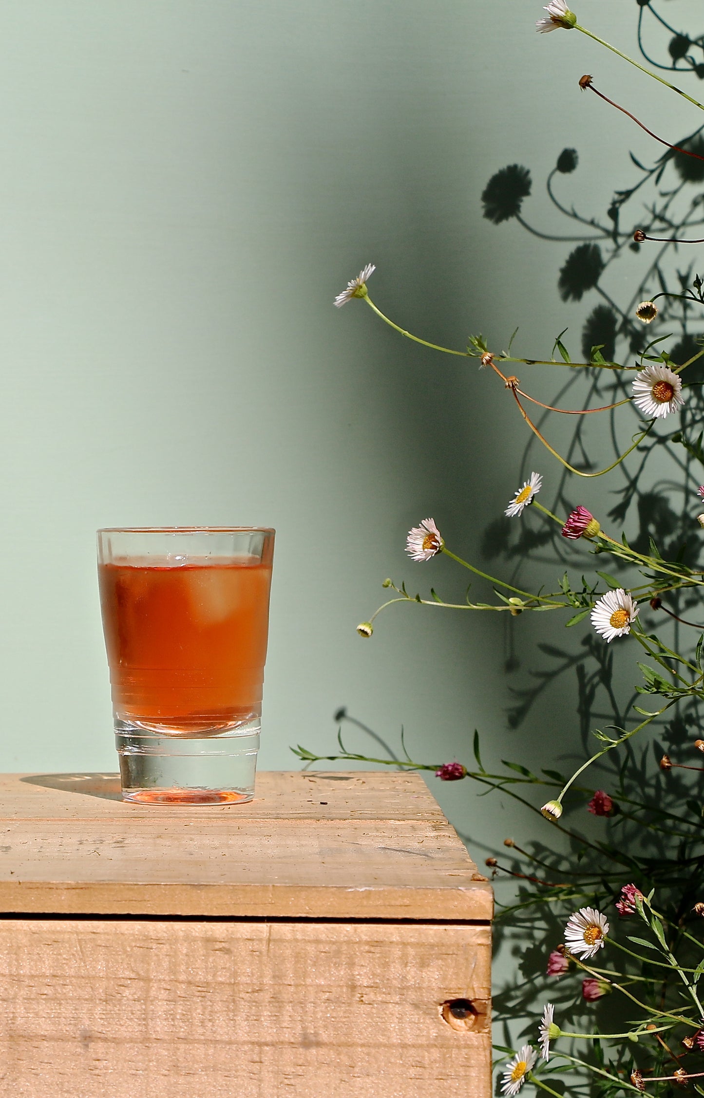 BLOOM : ruby red, tangy + refreshing - hibiscus tea