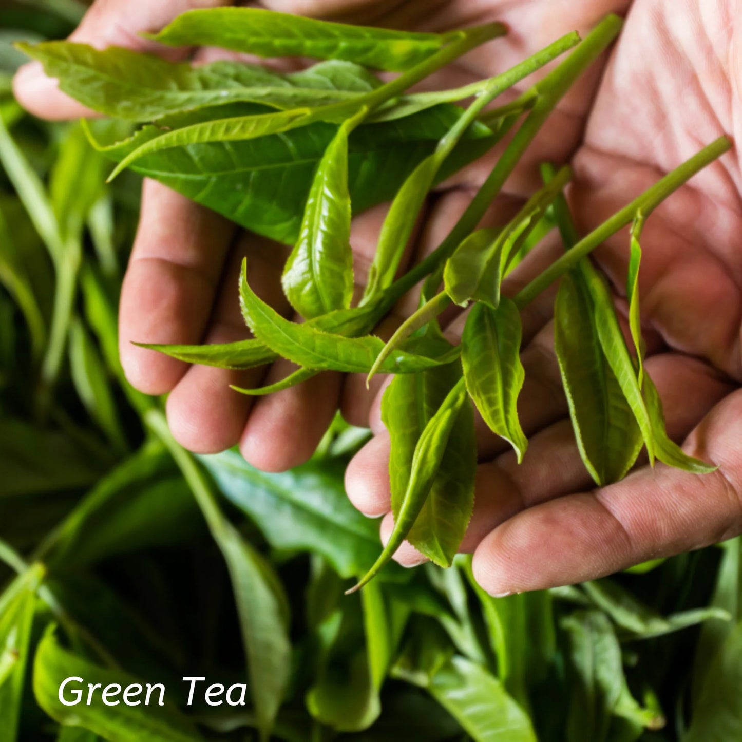 Kiwiherb: Skin Restore Cream