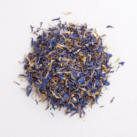 CORNFLOWER : Centaurea cyanus