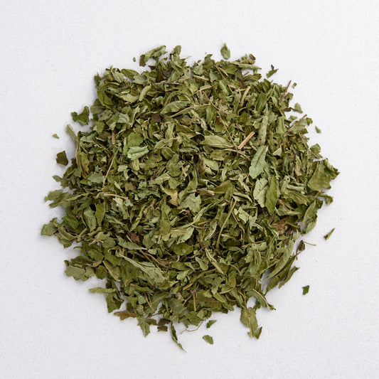 LEMON VERBENA : Aloysia citrodora