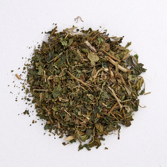 NETTLE : Urtica dioica